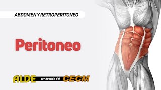 Curso Abdomen y Retroperitoneo  6ta Clase Peritoneo [upl. by Clarabelle650]