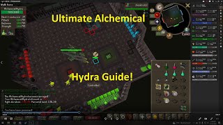 OSRS Alchemical Hydra Guide  PvM Mastery 3 [upl. by Roeser]