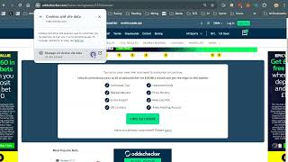 Oddschecker Paywall Workaround [upl. by Ecinnahs]