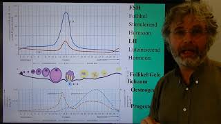 Biologie HV BB Hormonen voortplanting [upl. by Covell]