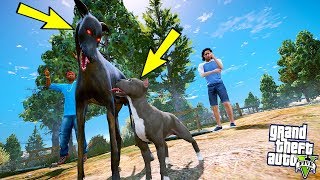 2 METRELİK DEV DOBERMAN YAVRU PİTBULLA KAPIŞIYOR  GTA 5 [upl. by Burton879]