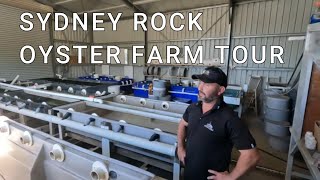 EXCLUSIVE PRIVATE OYSTER FARM TOUR IN BATEMANS BAY [upl. by Campball]