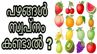 pazhangal swapnam kandal swapna vyakyanam islam malayalam islamic speech fruits pazham fruit hadees [upl. by Minny]