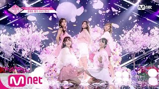 ENG sub PRODUCE48 단독10회 ♬다시 만나ㅣ′대휘 선배님의 선물′ 약속 콘셉트 평가 180817 EP10 [upl. by Kubis520]