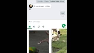 How To Insert GIFs in Google Hangouts App Android [upl. by Fusco]