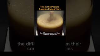 This is the Piranha Solution Experimentscience shortsvideo piranhasolution experiment [upl. by Carlotta]