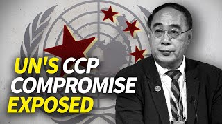 US Panel Chair Blasts UN CCPs Deadly Influence Revealed  China Pulse [upl. by Aicilic]