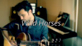 The Rolling Stones  Wild Horses Acoustic Cover by Tom Butwin 2452 [upl. by Kirit]