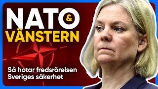 Socialdemokraterna hycklar om NATO [upl. by Husein711]