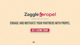 Zaggle Propel  A Smart Way to Boost Employee Motivation and Channel Loyalty [upl. by Idonna]