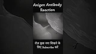 Antigen Antibody Reaction dadhichsir bsc neet shorts youtubeshorts [upl. by Margo100]