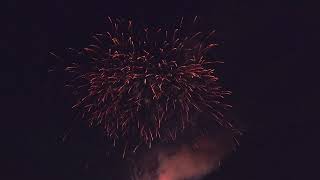 Big Cat Frenzy 216 shots Firework [upl. by Nawor522]