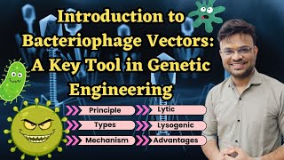 Introduction to Bacteriophage Vectors A Key Tool in Genetic Engineering [upl. by Ailhat]