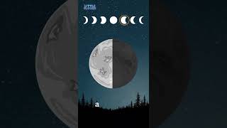 Exploring the Phases of the Moon A Fun and Educational Adventure for Kids [upl. by Ardolino]