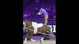 Vaulting🤩❤️ equestrian horses horseriding trending horse fypシ vaulting [upl. by Shara]