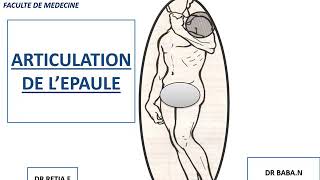 Articulation scapulohumérale [upl. by Aikim]