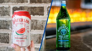 Sparkling Water vs Carbonated Water  A Taste Test Comparison [upl. by Girand580]