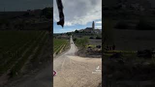 WRC RALLY RACC CATALUNYA COSTA DAURADA 2023 show car action amazing motor rally wrc sound [upl. by Anawat]