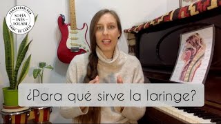 6 PLIEGUES VOCALES ¿Se pueden sentir  Lic Sofía Inés Solari [upl. by Asselam979]