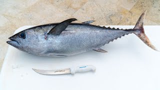 How To Fillet Whole Blackfin Tuna [upl. by Ariayek881]