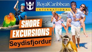 Seydisfjordur Royal Caribbean Shore Excursions Iceland [upl. by Thea]