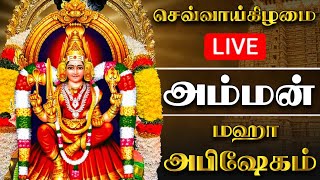 🔴LIVE செவ்வாய்க்கிழமை அம்மன் மஹா அபிஷேகம்  Tuesday Amman Abhishekam shorts amman abhishekam [upl. by Ladew]