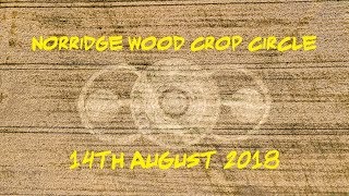 Crop Circle Norridge Wood Nr Warminster 14th August 2018 [upl. by Ettesil853]