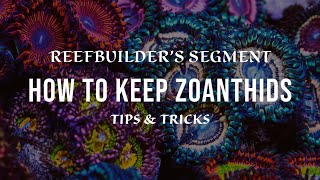 Zoanthids  How to Keep and Growing using Tips and Tricks Reefbuilders Video Segment [upl. by Eivol992]