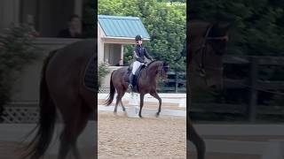 💃🕺 dressage eventing geldings ottb horseshow [upl. by Jarrid891]