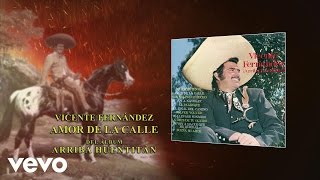 Vicente Fernández  Amor de la Calle Audio [upl. by Luz]