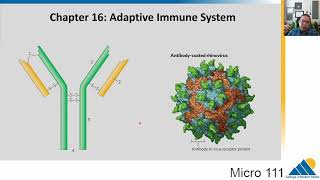 MICRO 111 Ch161 Basics of Adaptive Immunity  Introductory Microbiology [upl. by Kerrie]