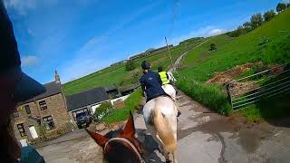 00 Kilnsey Canters 12 May 2024 [upl. by Nylra502]