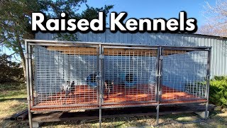 Professional Raised Dog Kennel build [upl. by Wieren870]