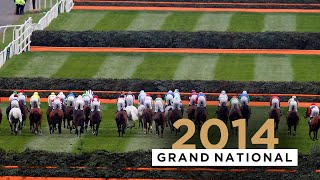 PINEAU DE RE CRUISES TO 2014 GRAND NATIONAL GLORY [upl. by Nyleve972]