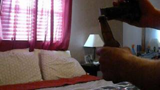 How to open a beer bottle with a USGI 1911 45 auto [upl. by Aiciles64]