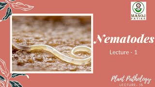 Nematodes  1  Plant Pathology  13  Introduction  Morphology of Nematodes [upl. by Eisned903]