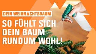 Weihnachtsbaum aufstellen und versorgen  OBI  Dein Weihnachtsbaum  Folge 3 [upl. by Arnold]