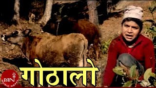 quotगोठालोquot Gothalo  Dinesh Kafle  Nepali Song [upl. by Lozar]