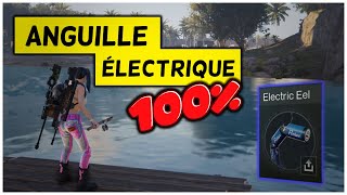 100 CHANCE dAnguille Électrique  Once Human Trucs et Astuces QCFR [upl. by Connelly]