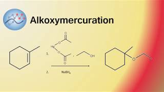 Alkoxymercuration Example Mechanism Synthesis of 1Ethoxy1methylcyclohexane  Organic Chemistry [upl. by O'Connell744]