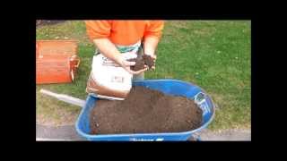 Overseeding a lawn with Compost [upl. by Tully]