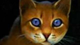 The Real Warrior Cats Movie [upl. by Akinit]