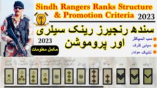 sindh rangers ranks and salary 2023  Sind Rangers promotion criteria  Sind rangers ranks Structure [upl. by Budd585]