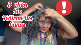 Así se ven 3 años de transición a las canas  canas gente joven  Marina Vega [upl. by Melba527]