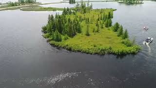 Chippewa Flowage CC Bridge Bog [upl. by Oknuj]