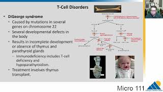 MICRO 111 Ch174 Immunodeficiencies and Lymphoid Cancers  Introductory Microbiology [upl. by Nial165]