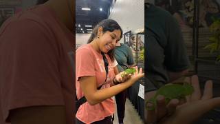 Reptile Expo in Atl 🐍 [upl. by Anivlac]