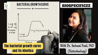 Bacterial Growth Curve and its mathematics Microbiology classroom biology csirnet [upl. by Yettie]