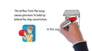 Articulatory Phonetics 4 Manner of Articulation in Obstruents [upl. by Anoy684]