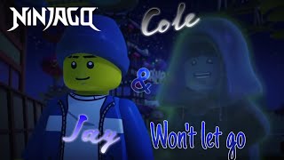 Ninjago  Cole amp Jay Tribute  “Wont Let Go”  FiveFold [upl. by Brigette927]